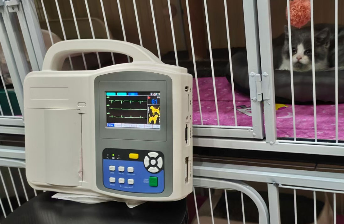 VET ECG Machine Manufacturers